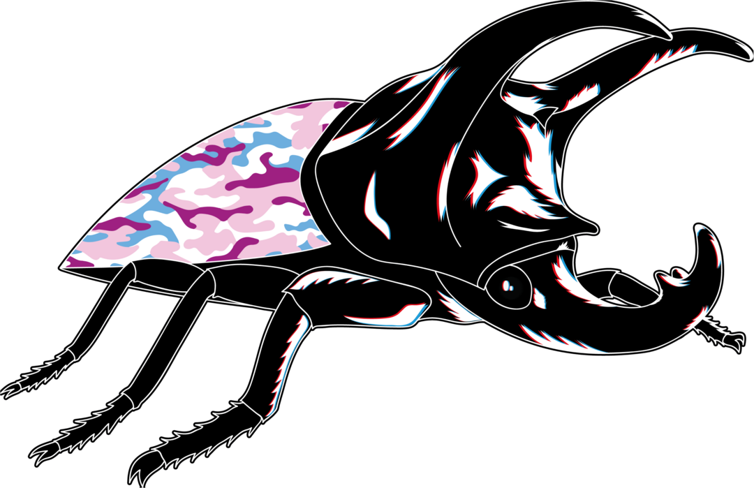beetle visual